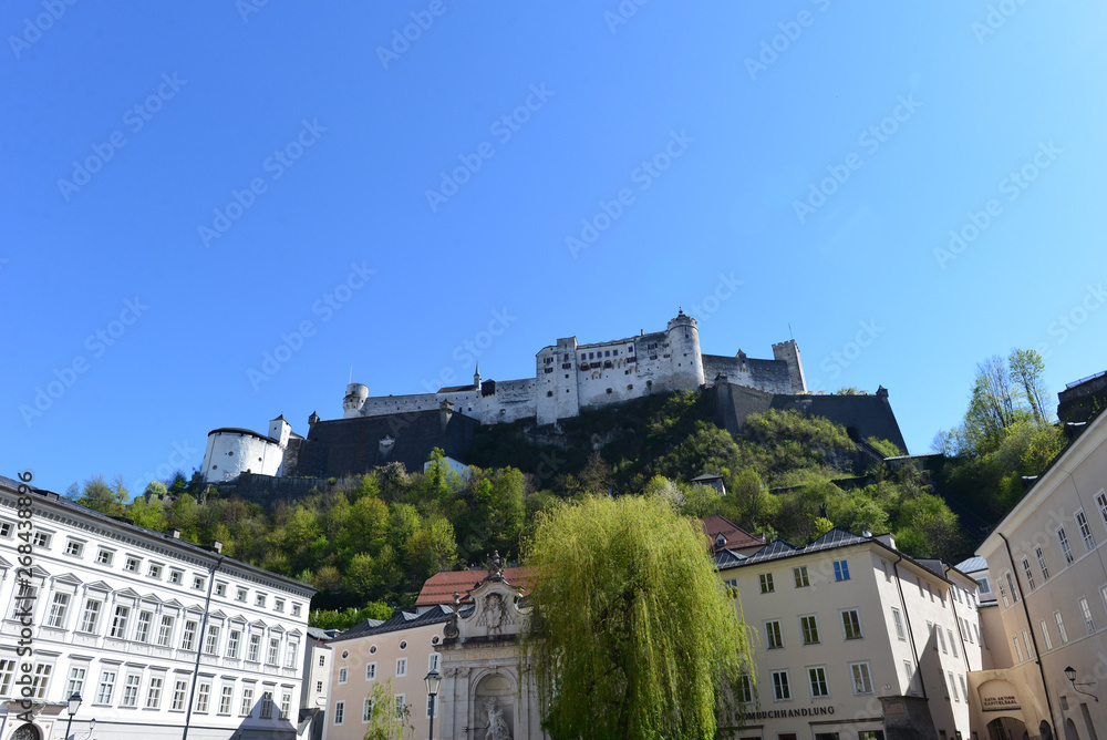 Fototapeta premium Blick auf Festung Hohensalzburg vom Kapitelplatz 