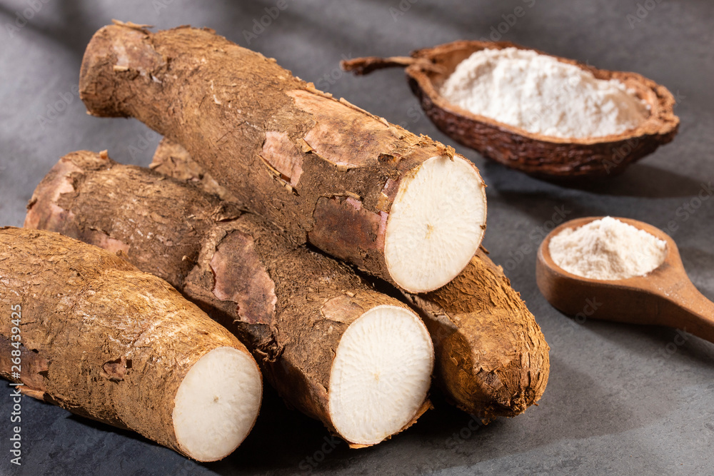 Raw yucca starch - Manihot esculenta. Text space Raw yucca starch - Manihot esculenta. Text space