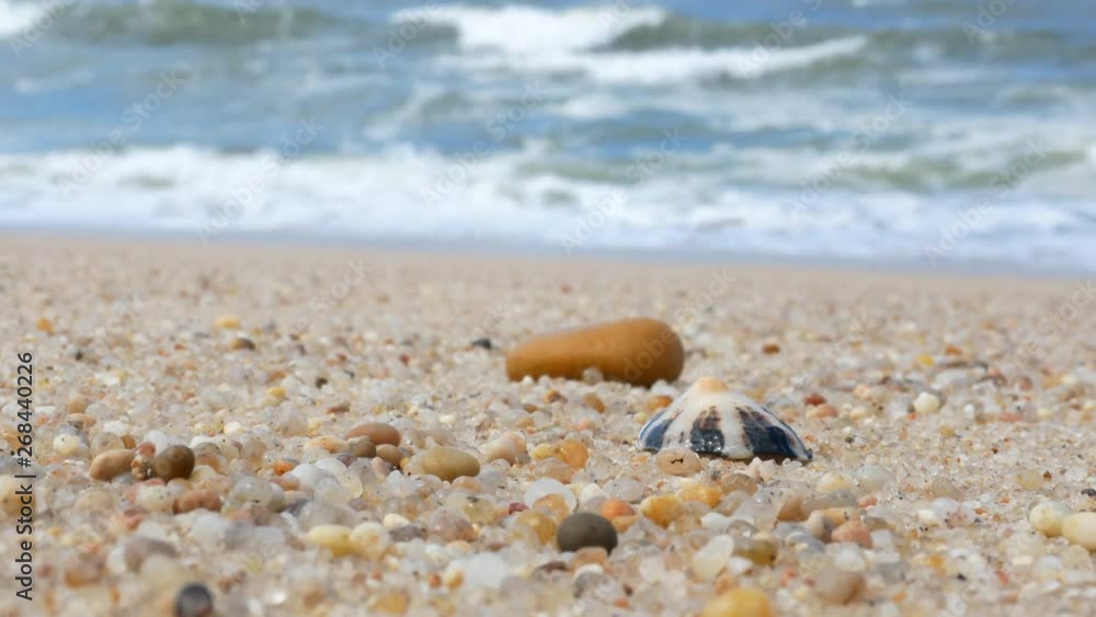 Seashell and pebble lie on sandy beach with waves breaking in background. Shallow depth of field. Seashell and pebble lie on sandy beach with waves breaking in background. Shallow depth of field.