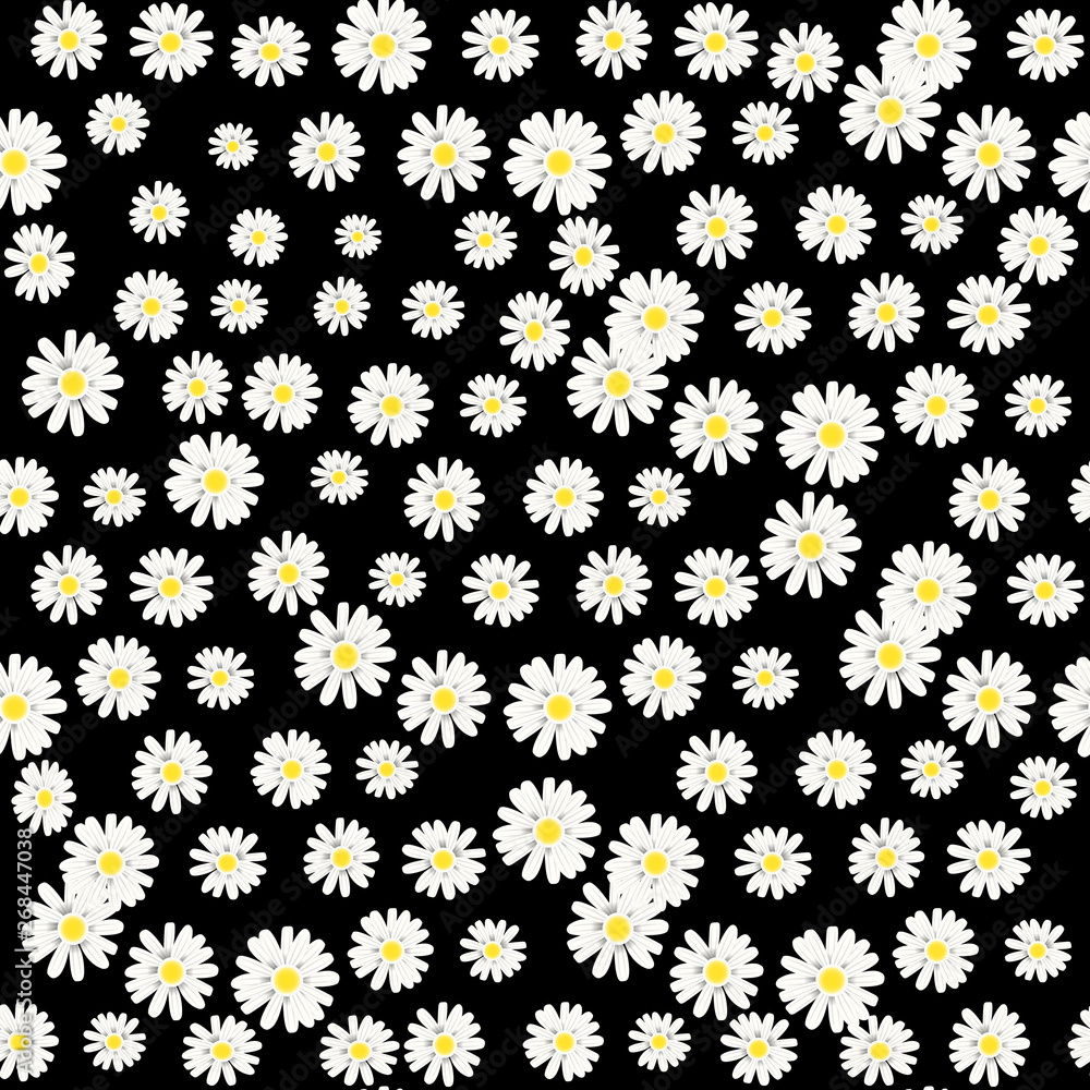 Seamless pattern with white daisies on black background. Vector illustration. Seamless pattern with white daisies on black background. Vector illustration.