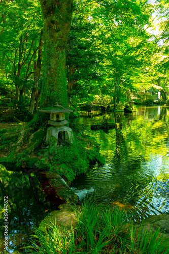 Fototapeta Naklejka Na Ścianę i Meble -  水辺と灯篭がある苔むした日本の庭園