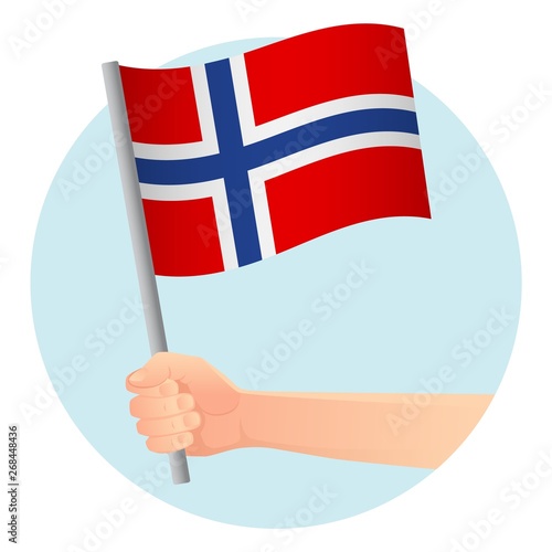 Norway flag in hand
