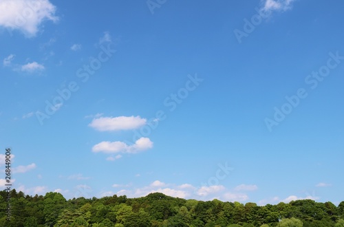 風景 空 森 春 爽やか 杤木