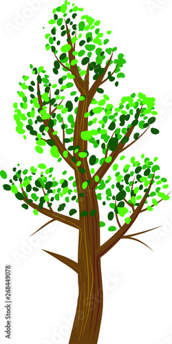 Vector icon of tree with green leaves