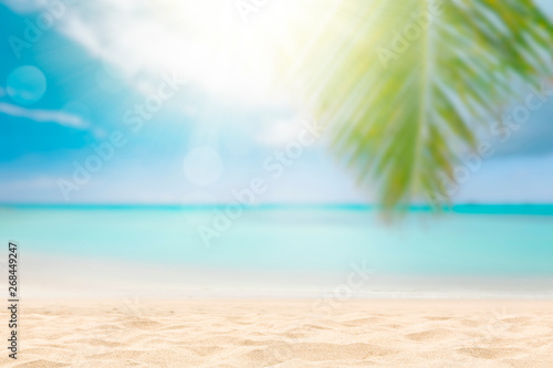  Sunny tropical beach with palm trees and turquoise water, caribbean island vacation, hot summer day © Mariusz Blach
