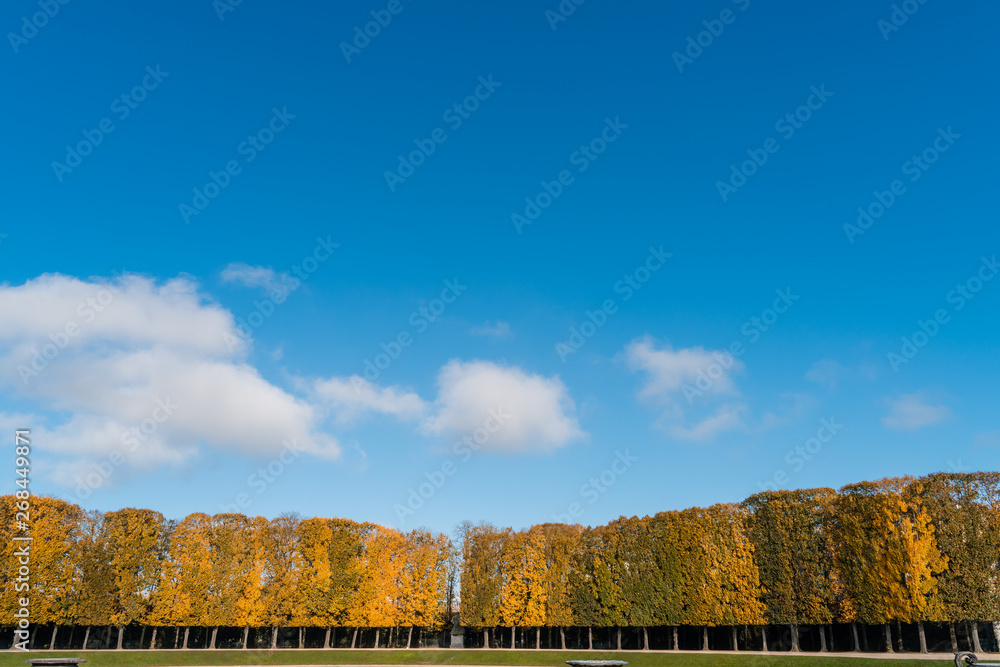 Blue sky on the Château de Versailles with a little ofrest and some white clouds