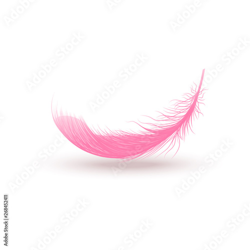 Pink swirled feather close up 3d realistic vector isolated on white background.