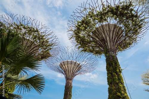 Singapore  Marina Bay Area is magnificent skyline includes many of the most recognizable landmarks.  Supertree grove,Flower Dome, Cloud Forest and Art Science Museum  are most recognizable landmarks. photo
