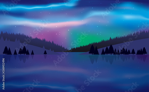 landscape of colorful northern light at the river in the night