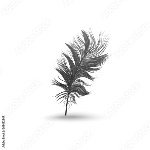 Single fluffy black feather falling or hovering upright realistic style © sabelskaya