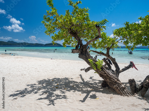 Tropical beach with white sand on the Malcapuya Island  Busuanga  Palawan  Philippines. Beautiful tropical island with sand beach. Travel concept. November  2018