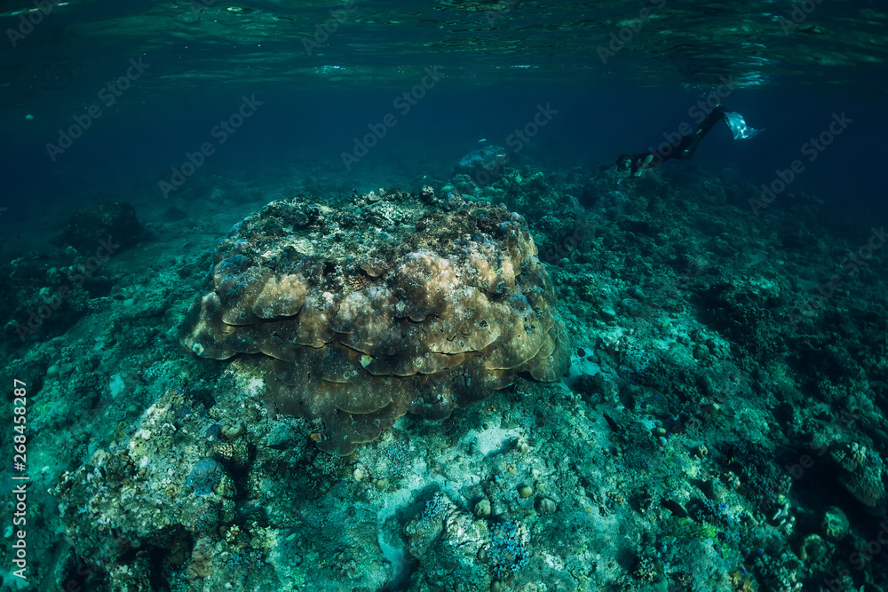 Fototapeta premium Freediver in wetsuit neoprene dive in the ocean