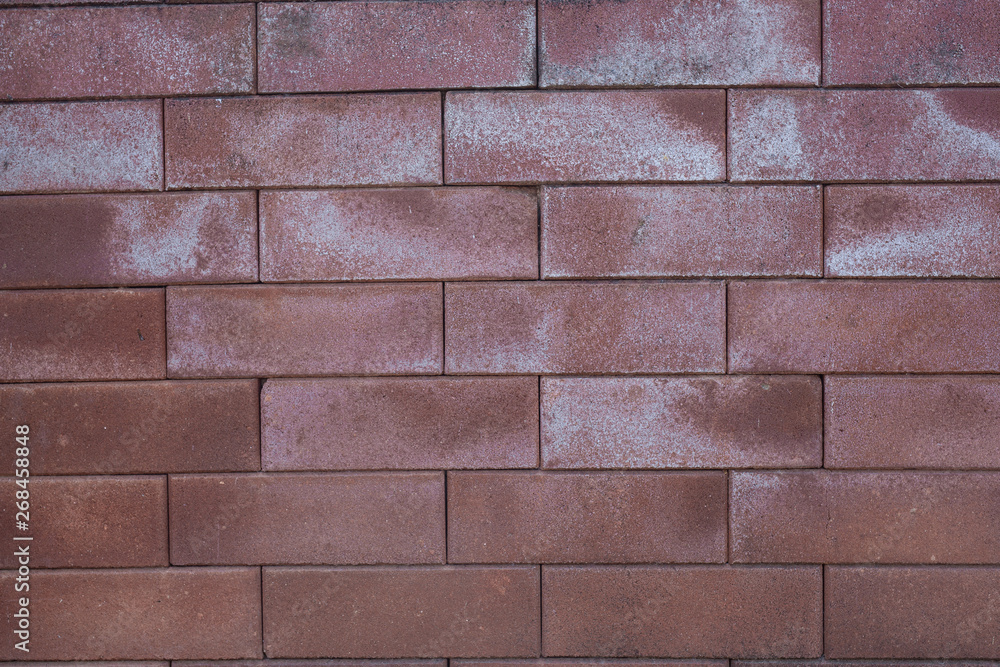 Fototapeta premium Old brick wall background