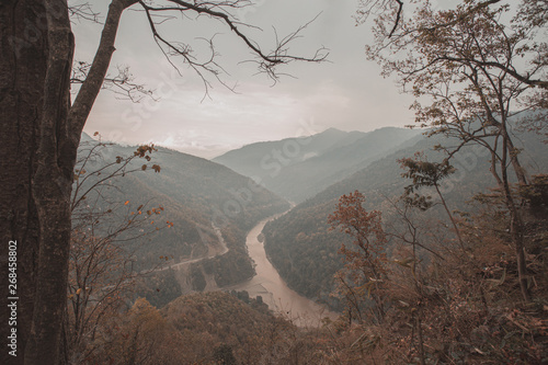 View from above of Teesta Valley Forest, Darjeeling, West Bengal, India