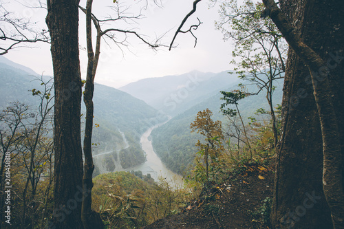 View from above of Teesta Valley Forest, Darjeeling, West Bengal, India