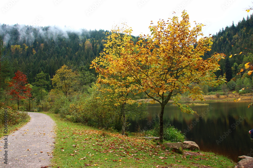 Naklejka premium Sankenbachsee