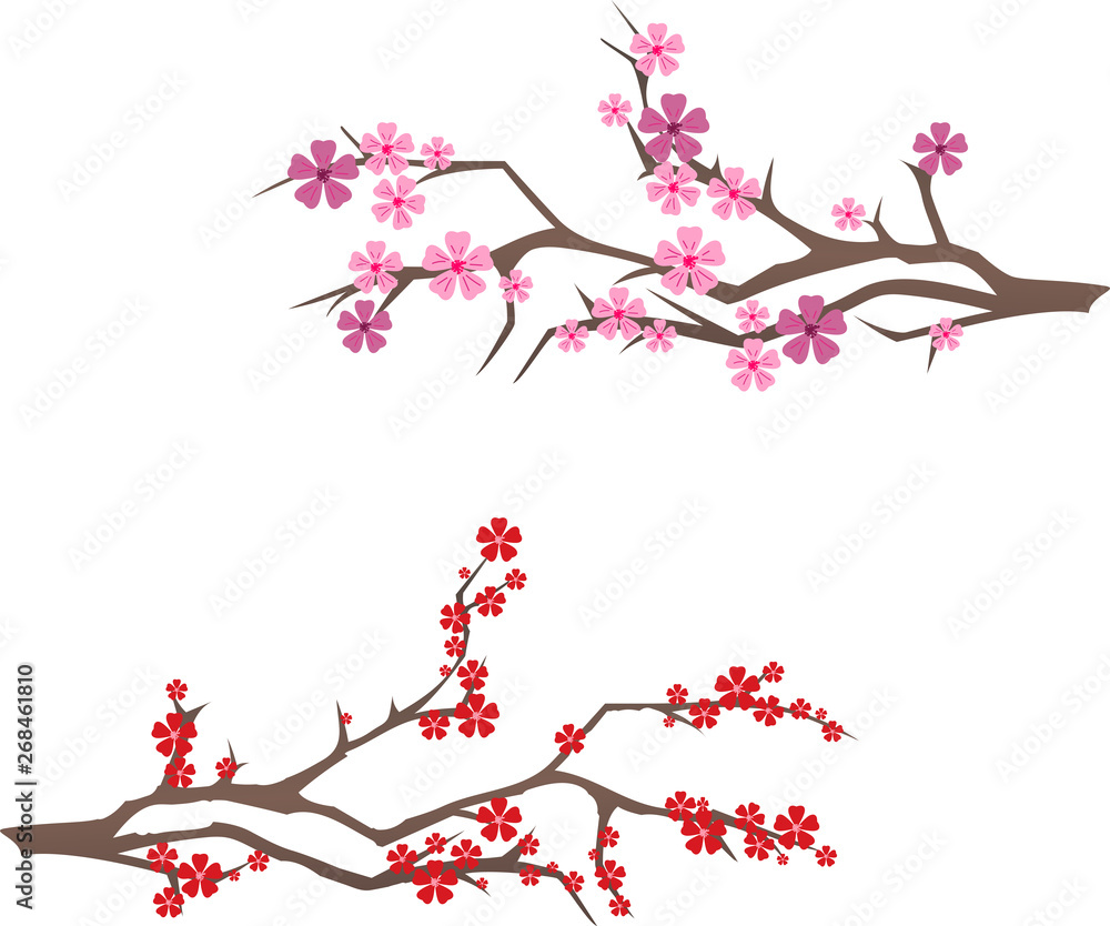 Fototapeta premium sakura
