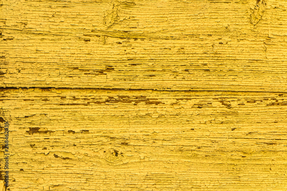 custom made wallpaper toronto digitalVintage Yellow Faded Natural Rustic Wooden Background. Grunge Old Solid Wood Shabby Peeling Paint Isolated Wall Texture.
