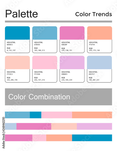 Color palette, harmonious combination, codes and names. Fashion colors for using in web, clothes, interiors and textiles