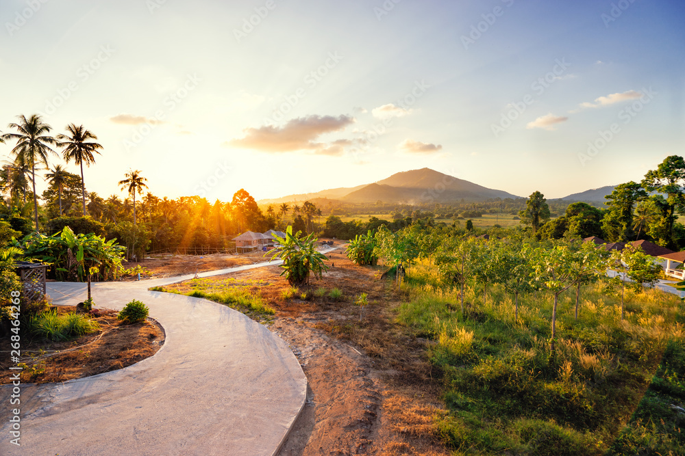 Fototapeta premium Beautiful landscape with curve road, meadow and mountain with sunset sky.