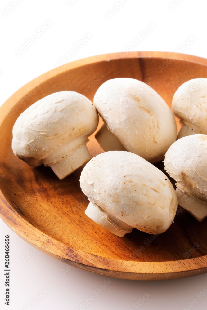 ホワイトマッシュルーム White mushroom ホワイトマッシュルーム White mushroom