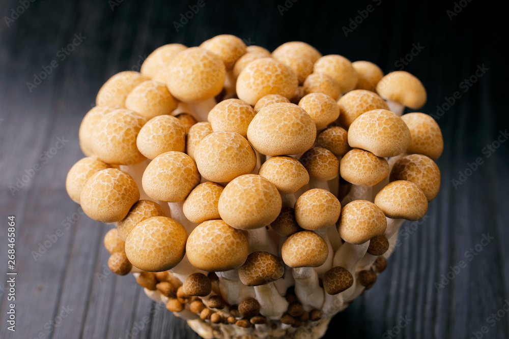 ブナシメジ Shimeji mushroom ブナシメジ Shimeji mushroom