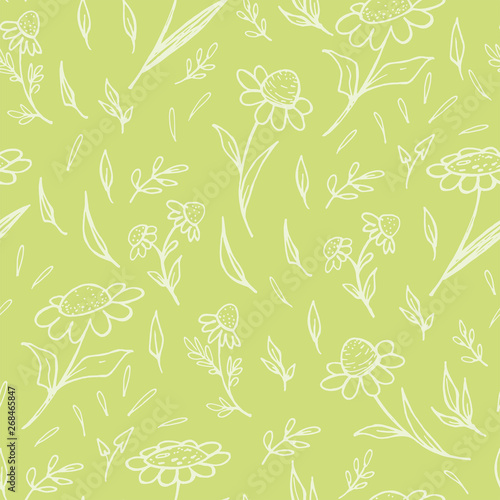 Seamless pattern of sketch of daisies on a green background.