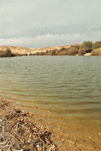 Fototapeta Naklejka Na Ścianę i Meble -  Green river in Israel summertime travel