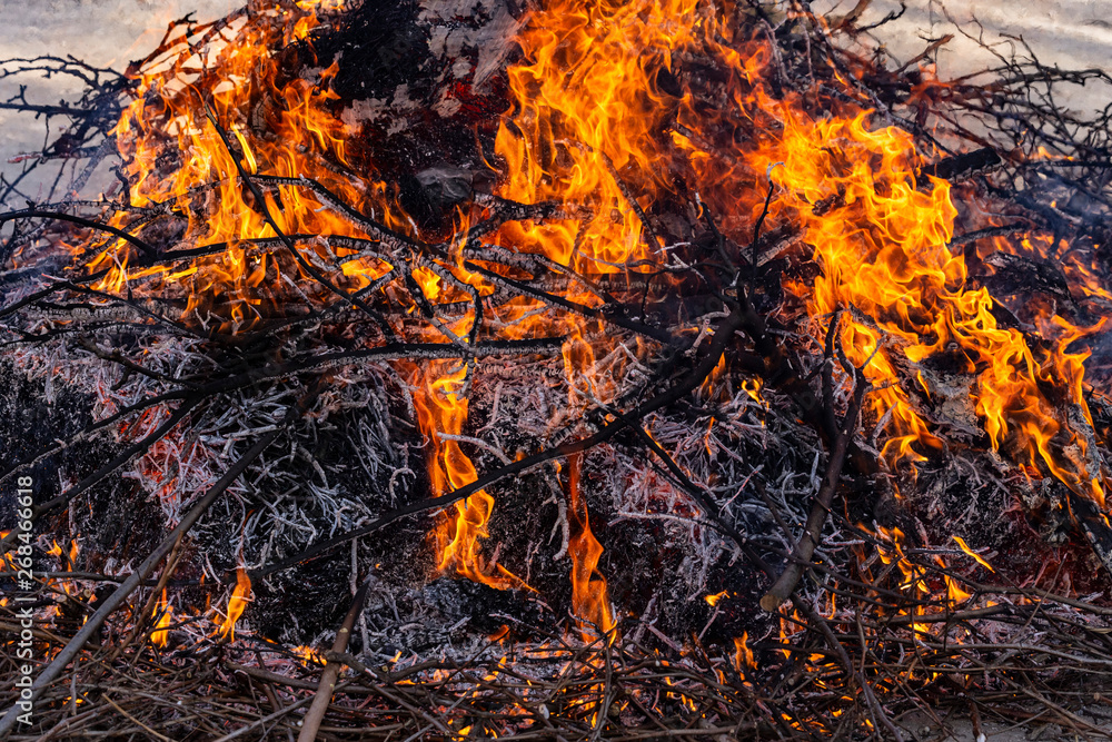 Flaming fire. Burning tree branches. Pagan rite dedicated to the arrival of spring. Big bonfire on Shrovetide. Auto-da-fe, ritual of public punishment, burning at the stake.