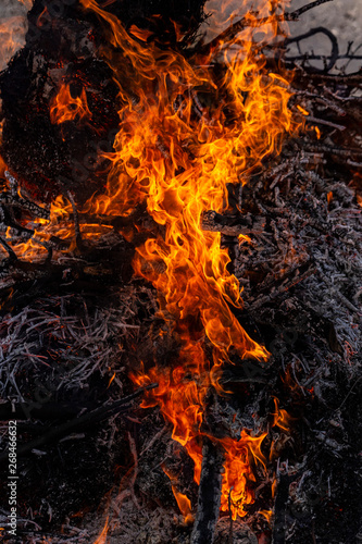 Flaming fire. Burning tree branches. Pagan rite dedicated to the arrival of spring. Big bonfire on Shrovetide. Auto-da-fe, ritual of public punishment, burning at the stake.