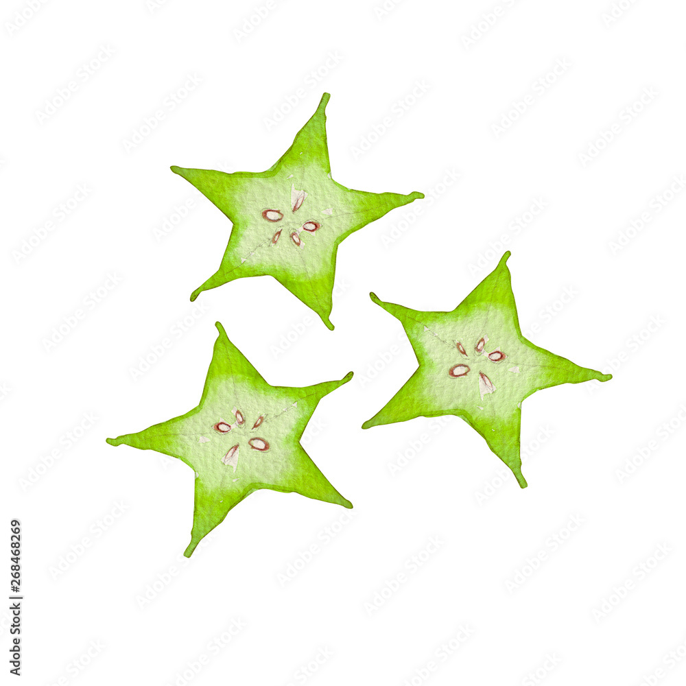 夏 トロピカルフルーツ スターフルーツ 水彩 イラスト Stock イラスト Adobe Stock 夏 トロピカルフルーツ スターフルーツ 水彩 イラスト Stock イラスト Adobe Stock