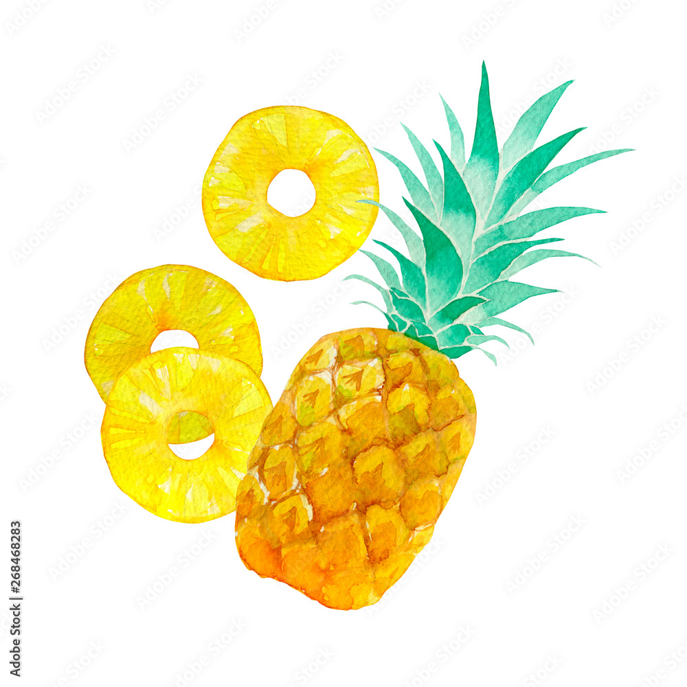 夏 トロピカルフルーツ パイナップル 水彩 イラスト Stock Illustration Adobe Stock 夏 トロピカルフルーツ パイナップル 水彩 イラスト Stock Illustration Adobe Stock