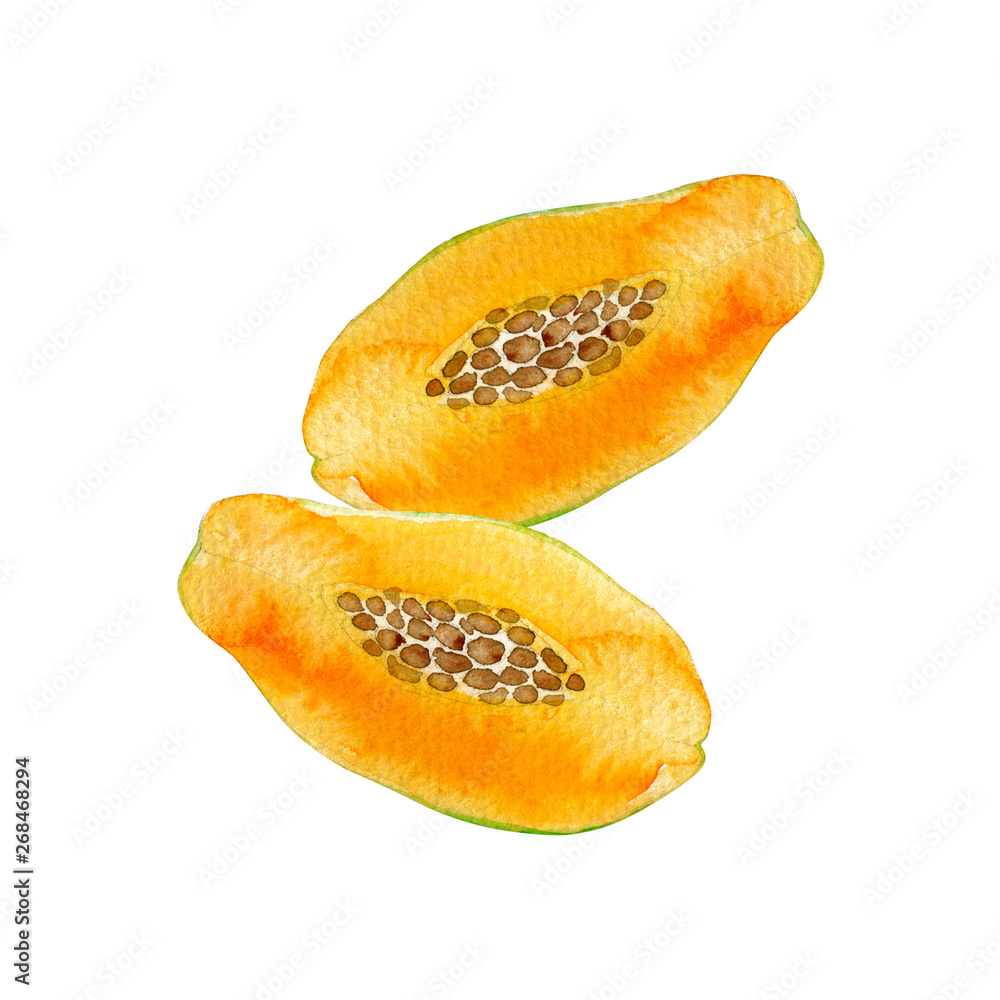 夏 トロピカルフルーツ パパイヤ 水彩 イラスト Stock Illustration Adobe Stock 夏 トロピカルフルーツ パパイヤ 水彩 イラスト Stock Illustration Adobe Stock