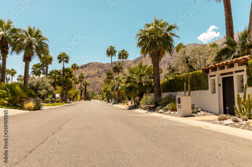 street of palm spring