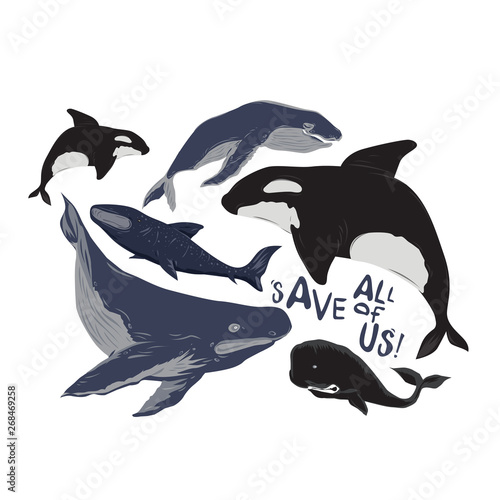 Vector illustration save the whale, ocean, nature, and world campaign