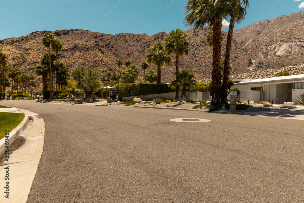 street of palm spring street of palm spring