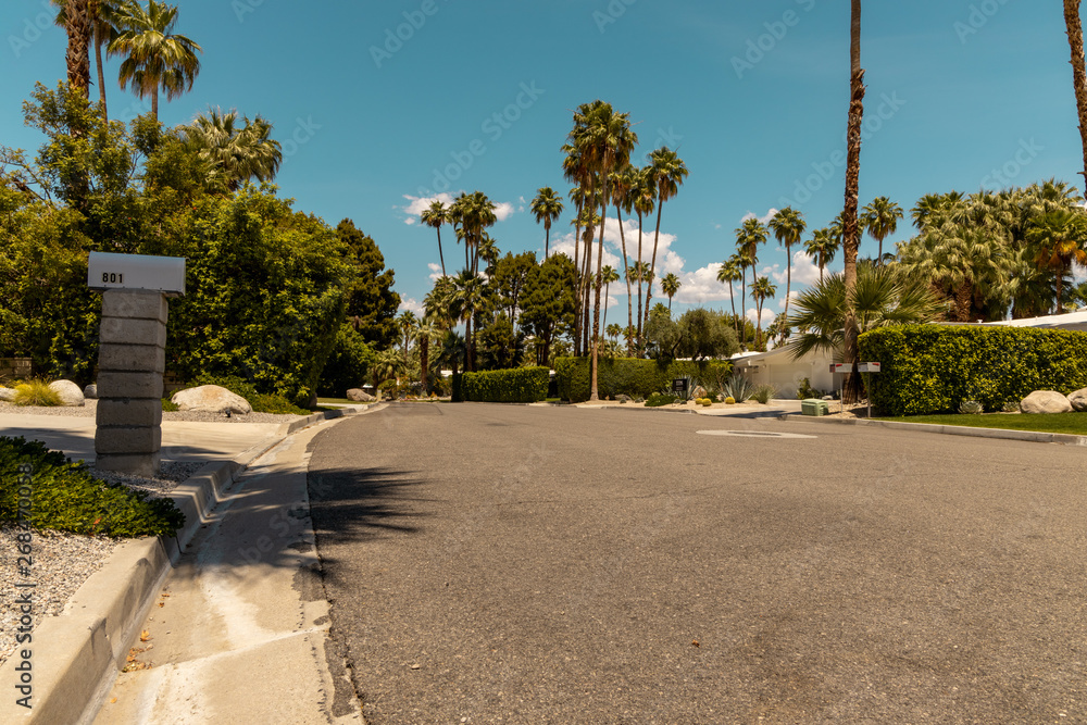 Obraz premium street of palm spring