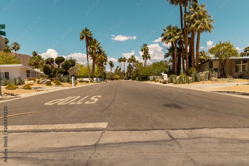 Obraz premium street of palm spring