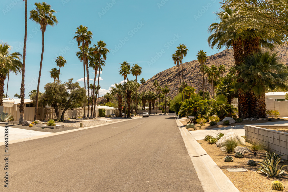 Fototapeta premium street of palm spring