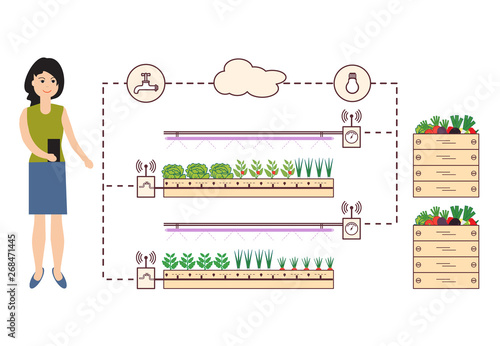 Woman controls the smart farm and agriculture.