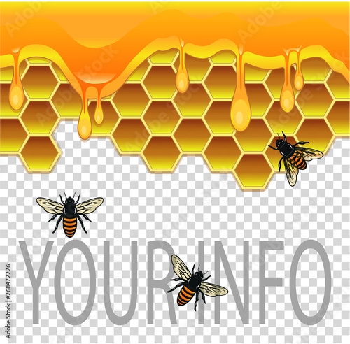 Vector honey logo with bee, dripping honey and honeycombs 