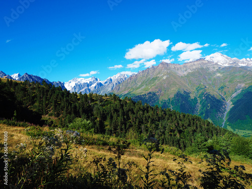 The mountains of Georgia, Svaneti Nature.
