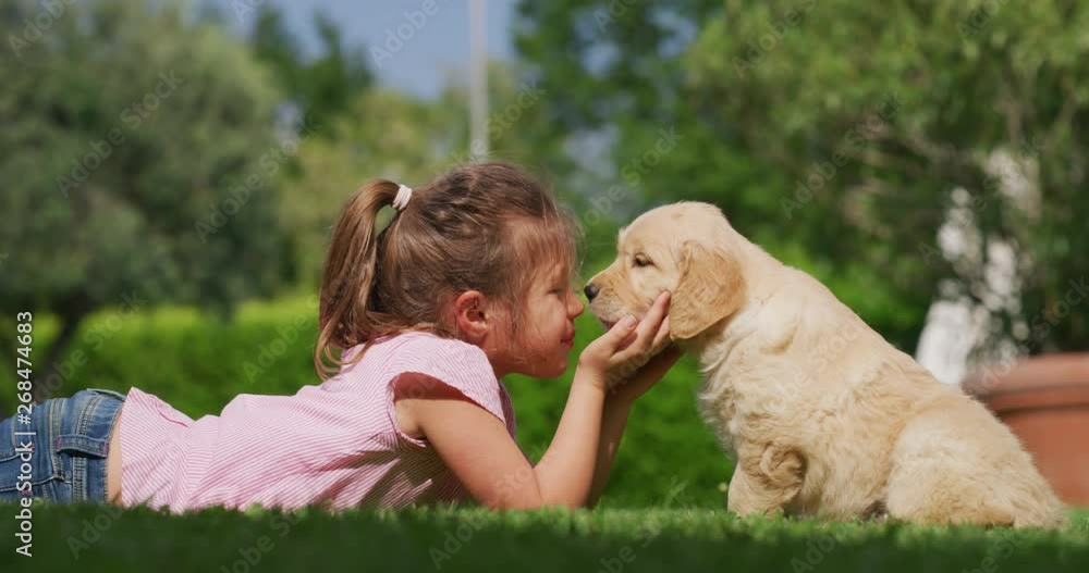 Slow motion of little girl lying on the lawn of a garden is cuddling and kissing a puppy of golden retriever dog.