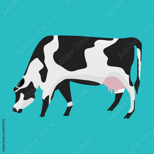 White and black cow with flat and solid color design.