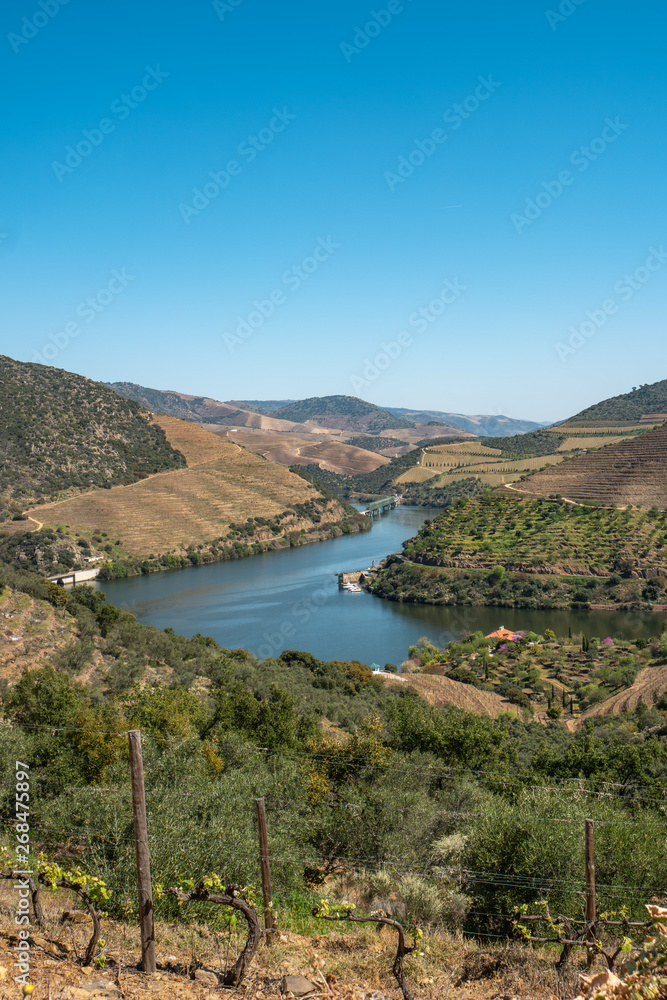 Fototapeta premium View of the terraced vineyards in the Douro Valley and river near the village of Pinhao, Portugal. Concept for travel in Portugal and most beautiful places in Portugal.