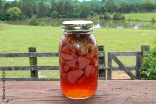 Podobny obraz