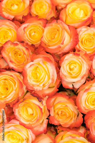 A huge bouquet of orange roses. orange roses background. orange roses horizontal seamless pattern. orange roses arrangement. vertical photo