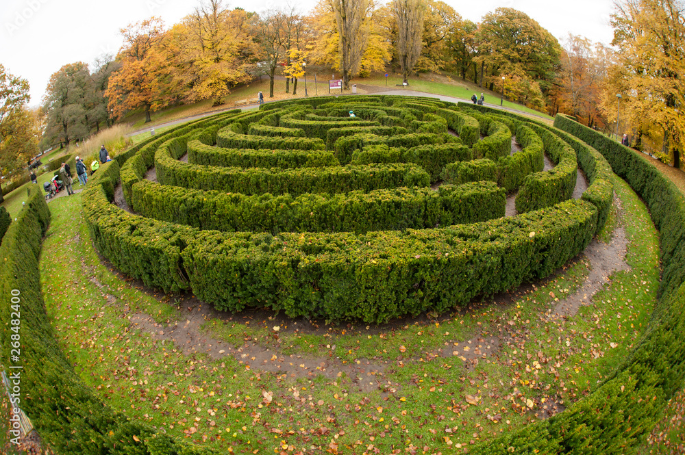 Wide angle view of a hedge maze in a park. Wide angle view of a hedge maze in a park.