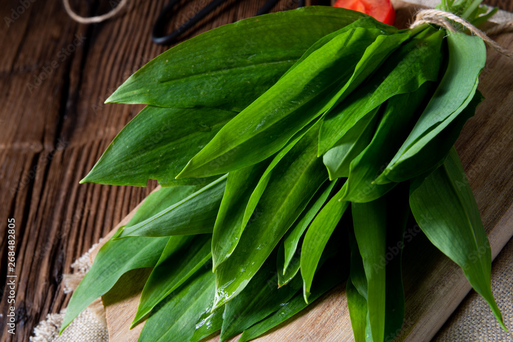 Fototapeta premium allium ursinum fresh ramson with lots of valuable vitamins