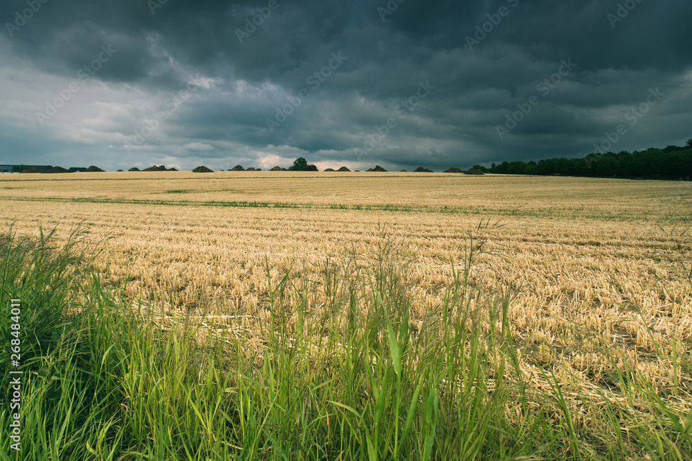 Fototapeta premium Storm clouds approaching over a freshly harvested field of wheat.